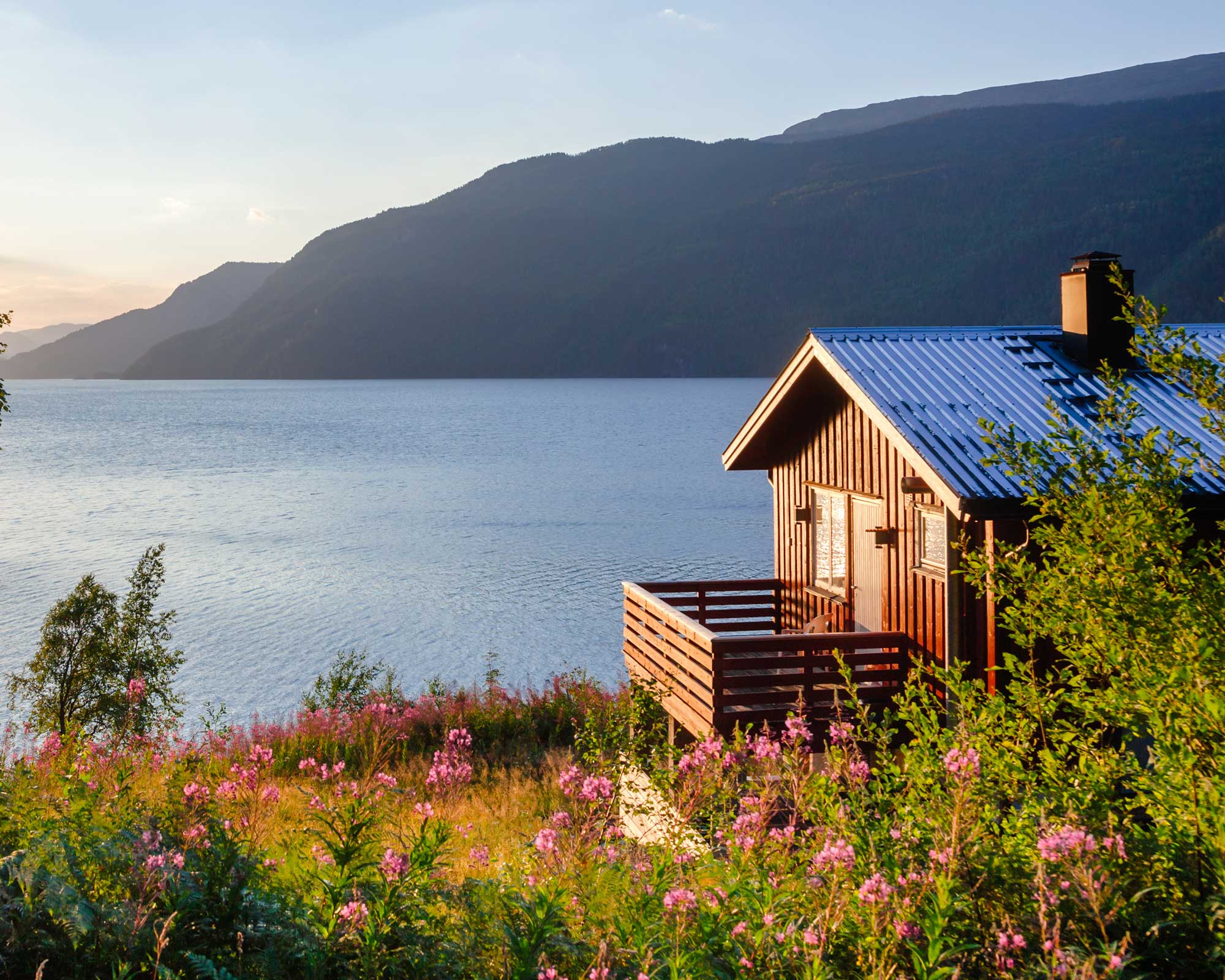 AdobeStock_227333247